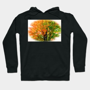 Leaves Changing Colors Hoodie